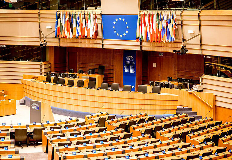 The European Parliament