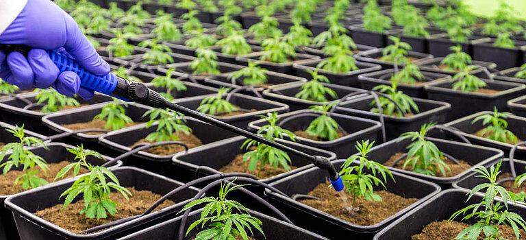 CBD Industrie