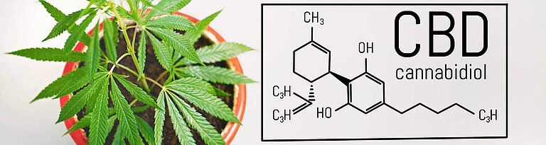 CBD Definition