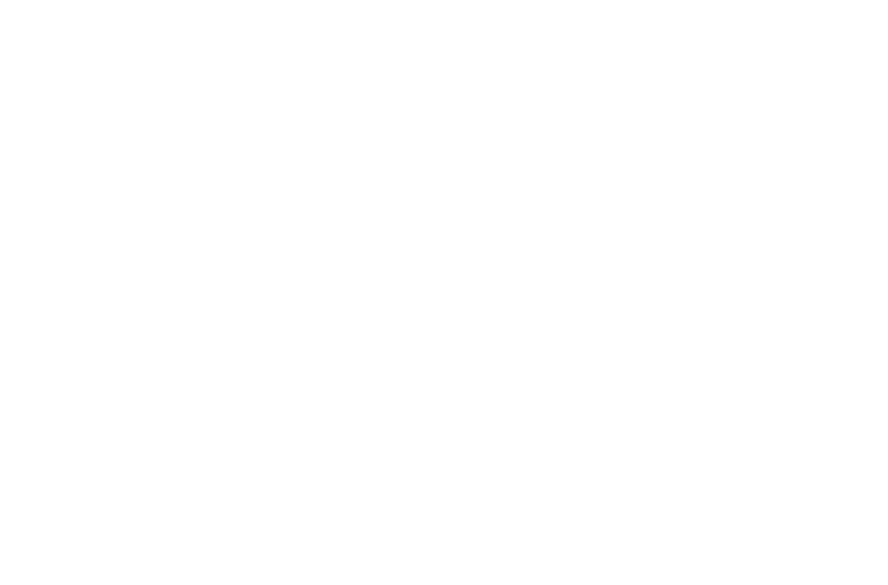 Rollholz Logo