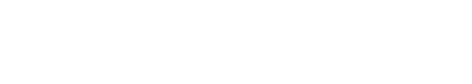 PlentyONE Logo