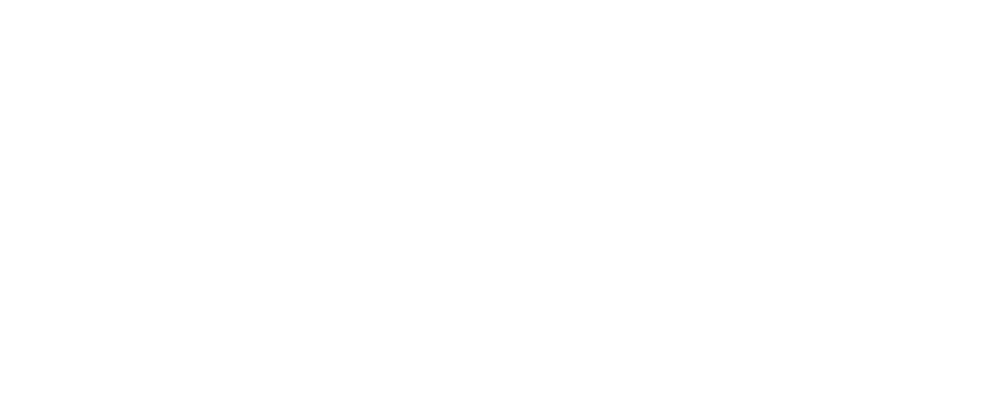 [Translate to EN:] shopify Logo